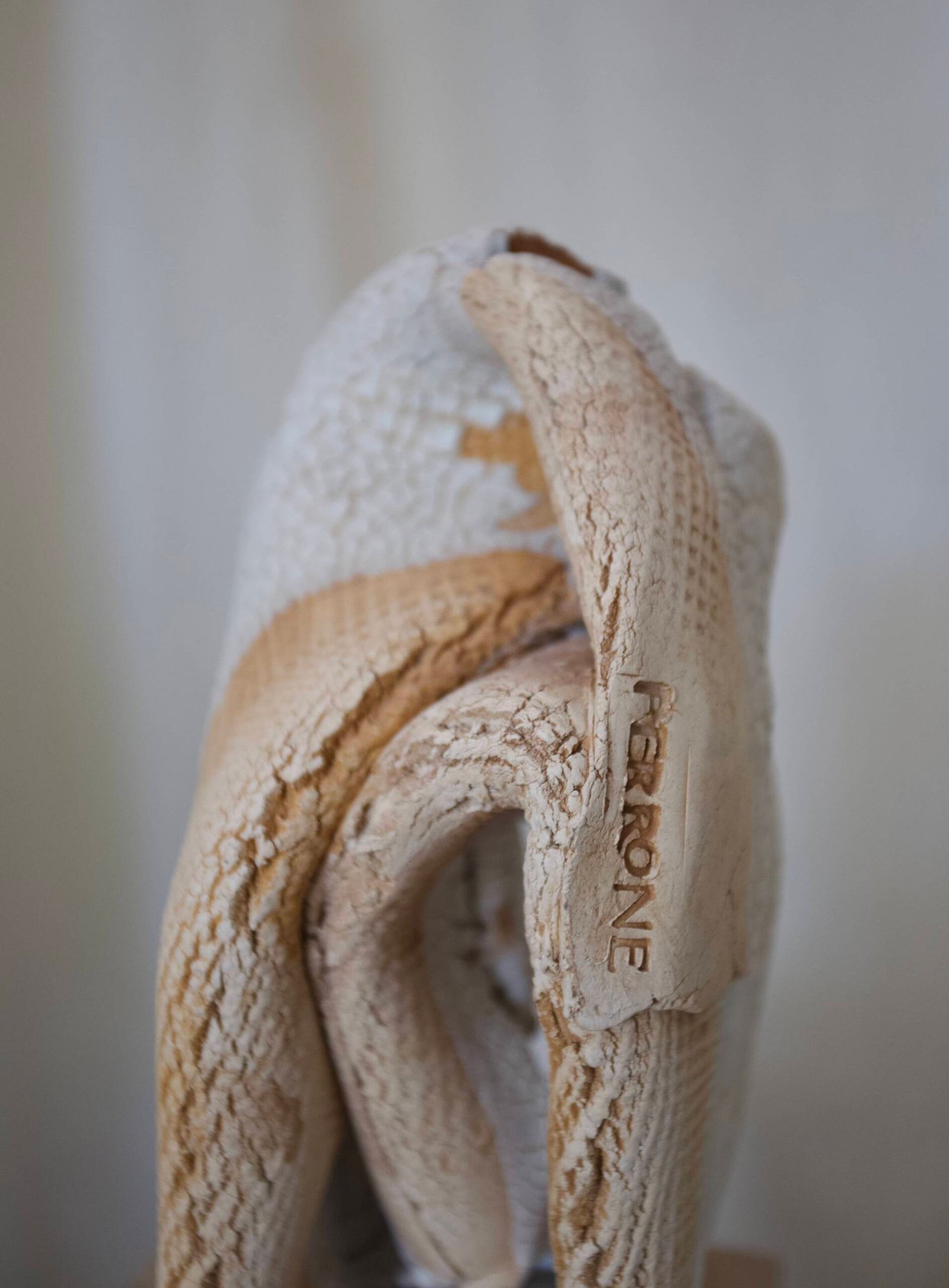 Topografia del Cuerpo